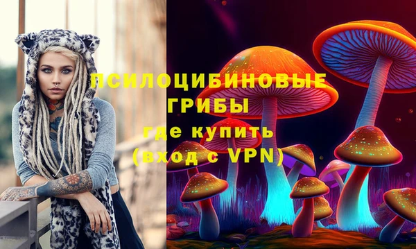 шишки Вязьма