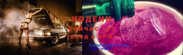 индика Вяземский