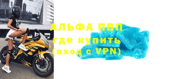 индика Вяземский