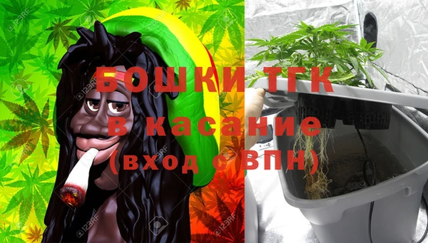 индика Вяземский