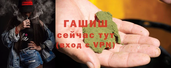 индика Вяземский