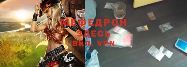 индика Вяземский