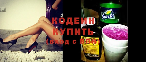 индика Вяземский
