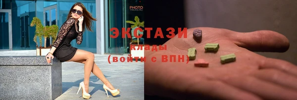 индика Вяземский