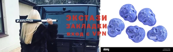 индика Вяземский
