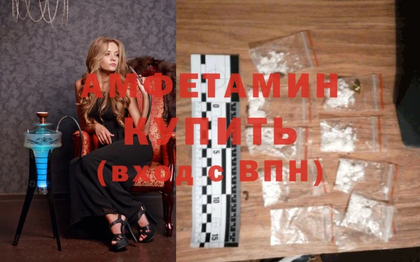 индика Вяземский