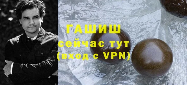индика Вяземский
