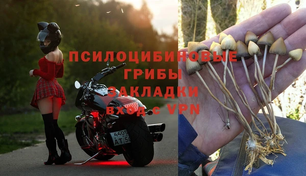 шишки Вязьма