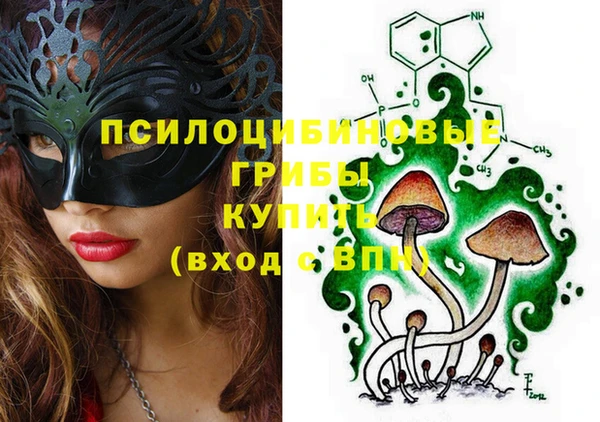 шишки Вязьма