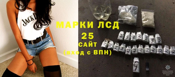 индика Вяземский