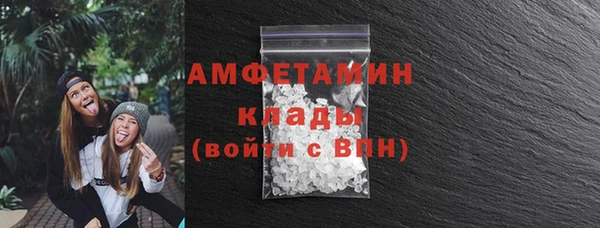 индика Вяземский