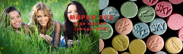индика Вяземский