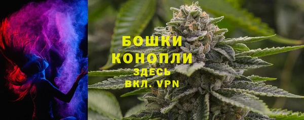 шишки Вязьма