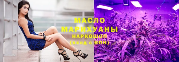 индика Вяземский