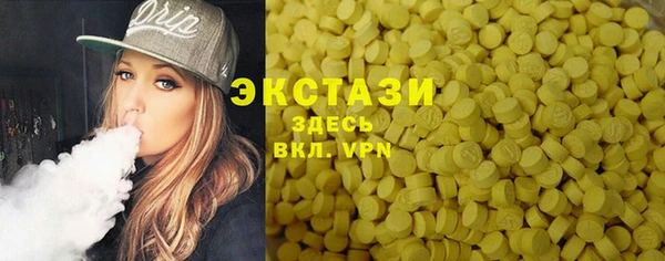 индика Вяземский