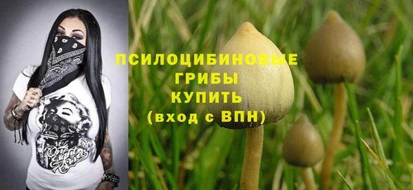 гидропоника Вязники