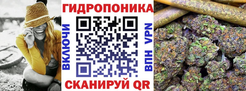 купить наркоту Щёлкино Бошки Шишки сатива